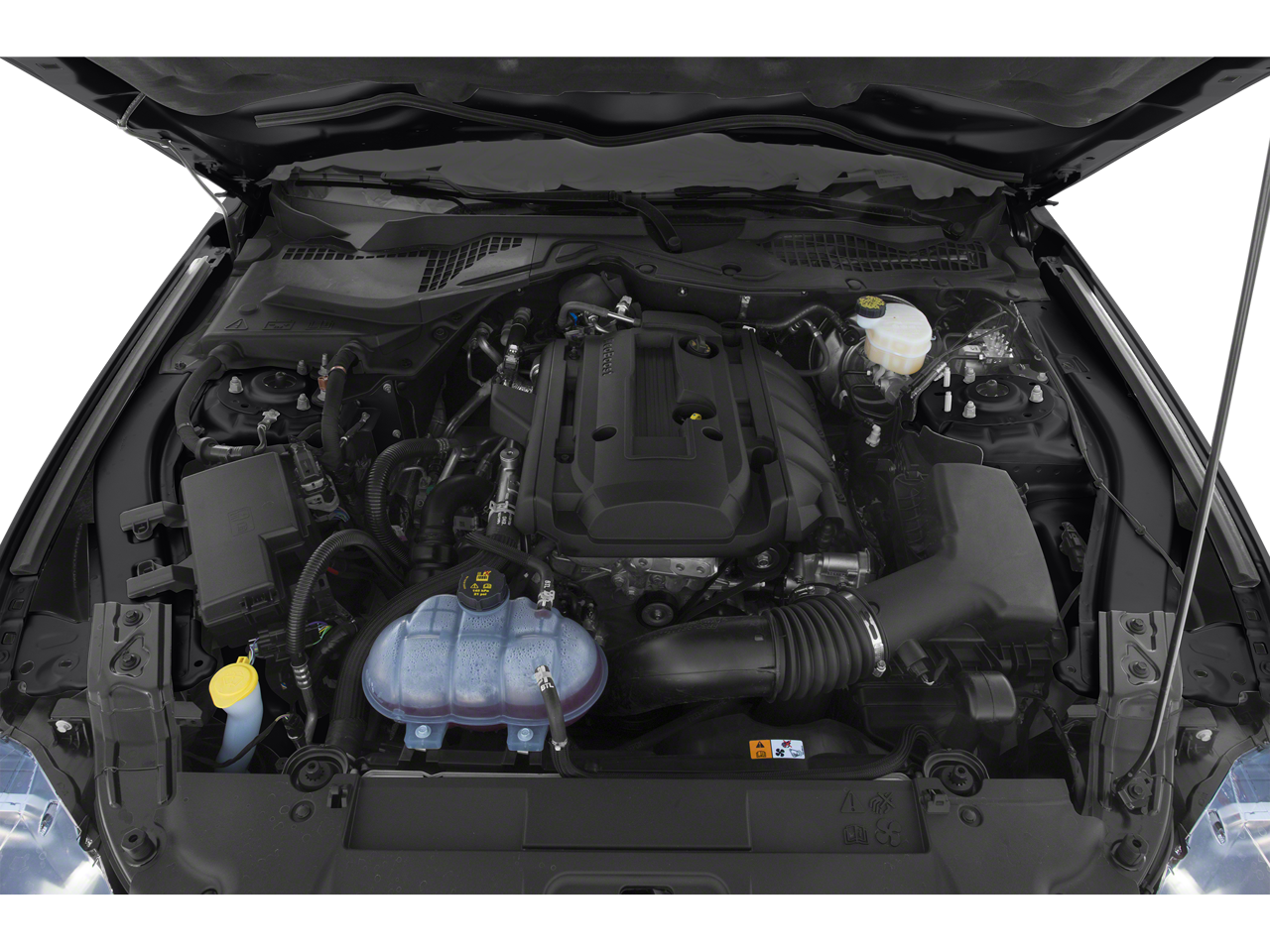 2019 Ford Mustang EcoBoost