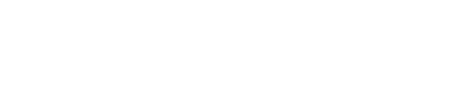 Steve White Volkswagen of Spartanburg SPLASH in Spartanburg SC logo